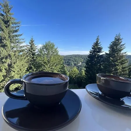 Cuvarkuca コパオニク