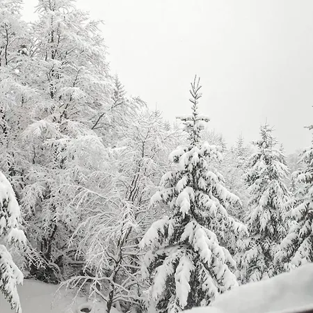 Cuvarkuca アパート