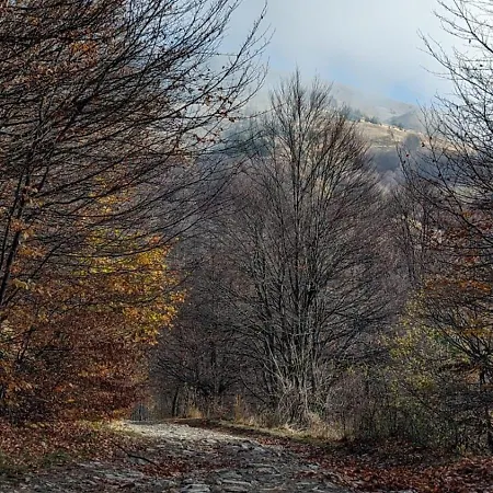 Cuvarkuca アパート