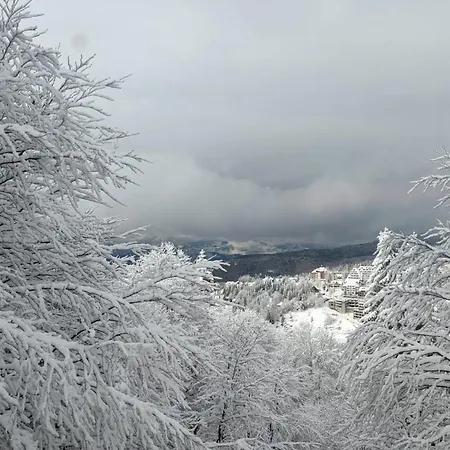 Cuvarkuca * コパオニク