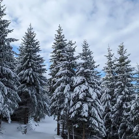 Cuvarkuca Apartment Kopaonik